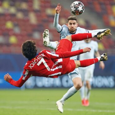 แทงบอลวิธี